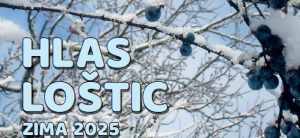 Hlas Loštic