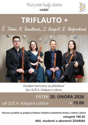 hudební vystoupení na koncertu